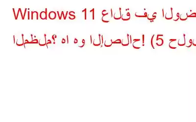 Windows 11 عالق في الوضع المظلم؟ ها هو الإصلاح! (5 حلول)