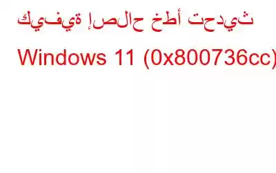 كيفية إصلاح خطأ تحديث Windows 11 (0x800736cc)؟