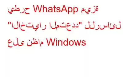 يطرح WhatsApp ميزة 