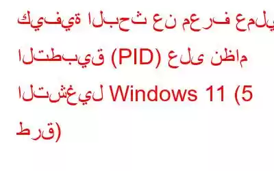 كيفية البحث عن معرف عملية التطبيق (PID) على نظام التشغيل Windows 11 (5 طرق)