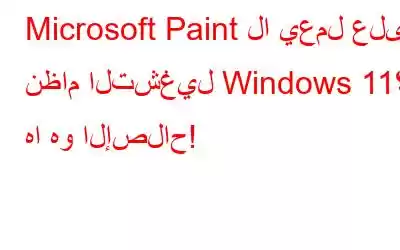 Microsoft Paint لا يعمل على نظام التشغيل Windows 11؟ ها هو الإصلاح!