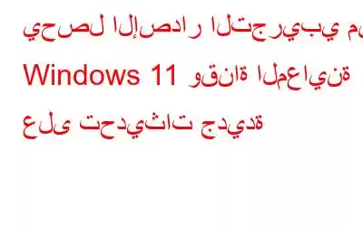 يحصل الإصدار التجريبي من Windows 11 وقناة المعاينة على تحديثات جديدة