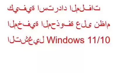 كيفية استرداد الملفات المخفية المحذوفة على نظام التشغيل Windows 11/10