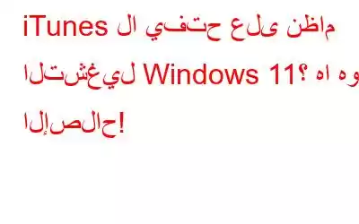 iTunes لا يفتح على نظام التشغيل Windows 11؟ ها هو الإصلاح!