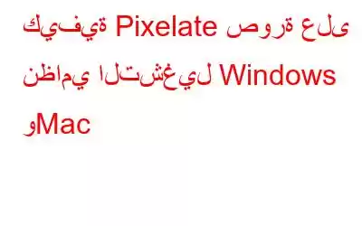 كيفية Pixelate صورة على نظامي التشغيل Windows وMac