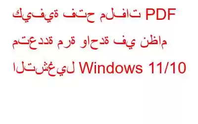 كيفية فتح ملفات PDF متعددة مرة واحدة في نظام التشغيل Windows 11/10