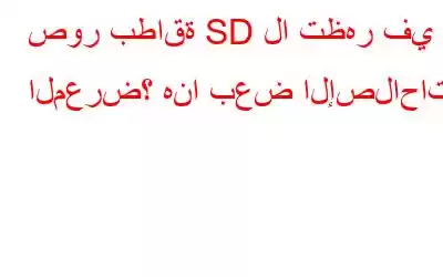 صور بطاقة SD لا تظهر في المعرض؟ هنا بعض الإصلاحات؟