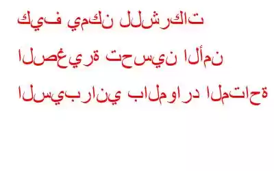 كيف يمكن للشركات الصغيرة تحسين الأمن السيبراني بالموارد المتاحة