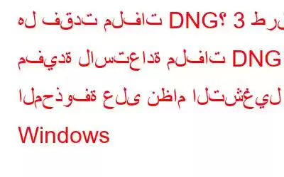 هل فقدت ملفات DNG؟ 3 طرق مفيدة لاستعادة ملفات DNG المحذوفة على نظام التشغيل Windows